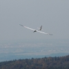 49. Teckpokalfliegen