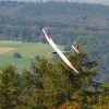 49. Teckpokalfliegen