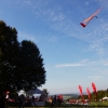 49. Teckpokalfliegen