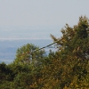 49. Teckpokalfliegen