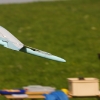 49. Teckpokalfliegen