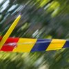 49. Teckpokalfliegen