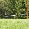 49. Teckpokalfliegen