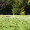 49. Teckpokalfliegen