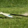 49. Teckpokalfliegen