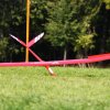 49. Teckpokalfliegen