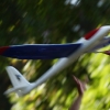 49. Teckpokalfliegen