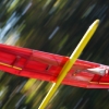 49. Teckpokalfliegen