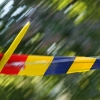 49. Teckpokalfliegen
