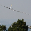49. Teckpokalfliegen