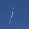 49. Teckpokalfliegen