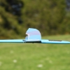 49. Teckpokalfliegen