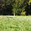 49. Teckpokalfliegen