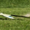 49. Teckpokalfliegen