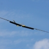 49. Teckpokalfliegen