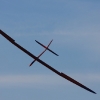 49. Teckpokalfliegen