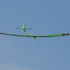 49. Teckpokalfliegen