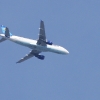49. Teckpokalfliegen
