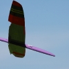 49. Teckpokalfliegen
