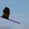 49. Teckpokalfliegen