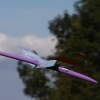 49. Teckpokalfliegen