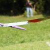 49. Teckpokalfliegen