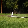 49. Teckpokalfliegen