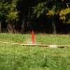49. Teckpokalfliegen
