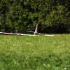 49. Teckpokalfliegen