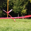 49. Teckpokalfliegen