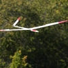 49. Teckpokalfliegen
