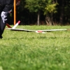 49. Teckpokalfliegen