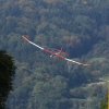 49. Teckpokalfliegen