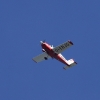 49. Teckpokalfliegen