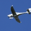 49. Teckpokalfliegen