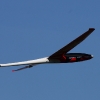 49. Teckpokalfliegen