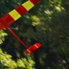 49. Teckpokalfliegen