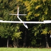 49. Teckpokalfliegen