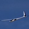 49. Teckpokalfliegen