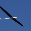 49. Teckpokalfliegen