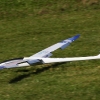 49. Teckpokalfliegen