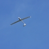 49. Teckpokalfliegen