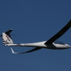 49. Teckpokalfliegen
