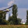 Hubschrauber Meeting Flugmodellclub Offenbach