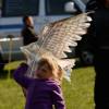 5. Drachenfest Grabenstetten