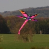 5. Drachenfest Grabenstetten