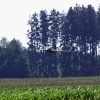 Warbirdtreffen Oberhausen 12