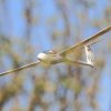 50. Internationaler Hahnweide-Segelflugwettbewerb 06.05.2016