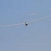 50. Internationaler Hahnweide-Segelflugwettbewerb 06.05.2016
