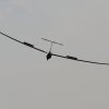 50. Internationaler Hahnweide-Segelflugwettbewerb 06.05.2016